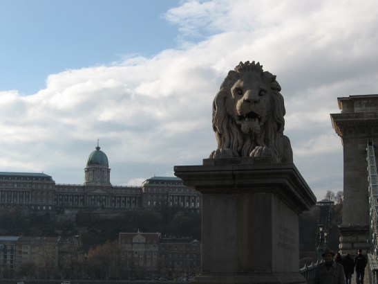 Budapest, Hungary, Lion, Chain Bridge