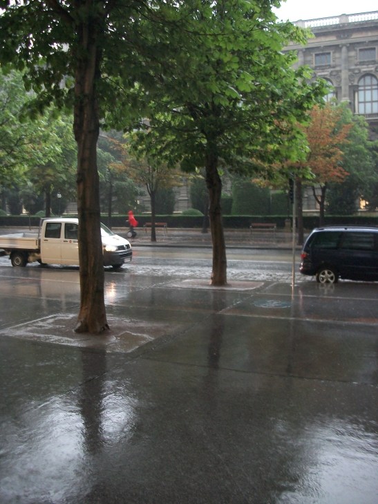 segway tour, Vienna, tourism, rain