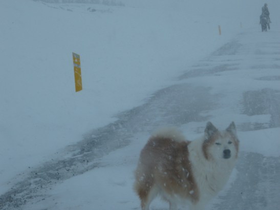 route 1, Iceland, travel, tourism