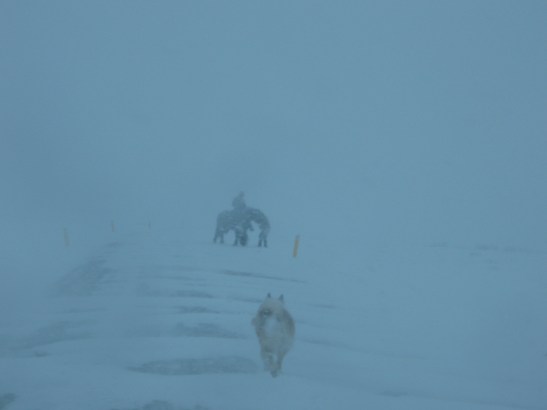 route 1, Iceland, travel, tourism