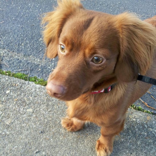 Photo courtesy of Brittany Rolle. 