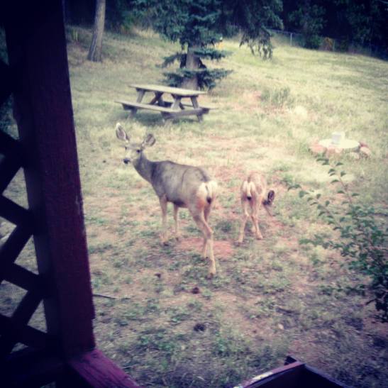 12006658_1228344347180778_2544300364674287984_o