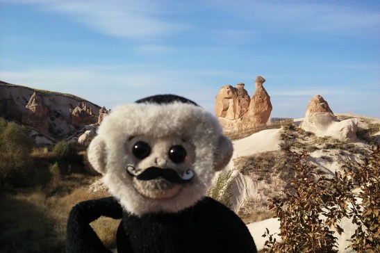 My little brother put the mustache on the monkey. :) Now the monkey travels with me so I always have my brother (relatively) close.